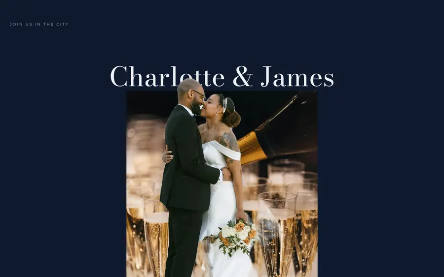 Midnight Navy wedding website template